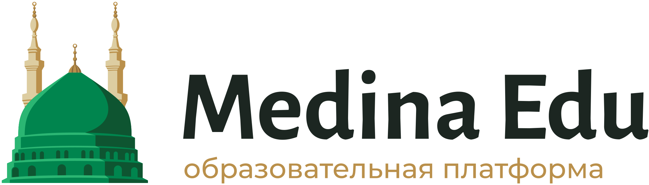 Medina Edu — образовательная платформа